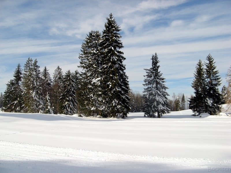 Zugerberg.JPG